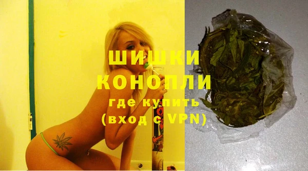 дживик Аркадак